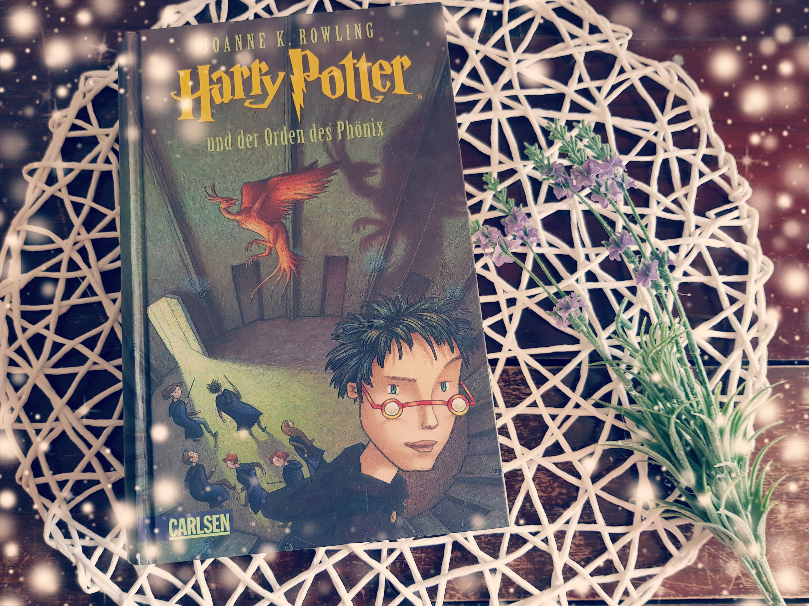 Buch Mit Den Meisten Seiten