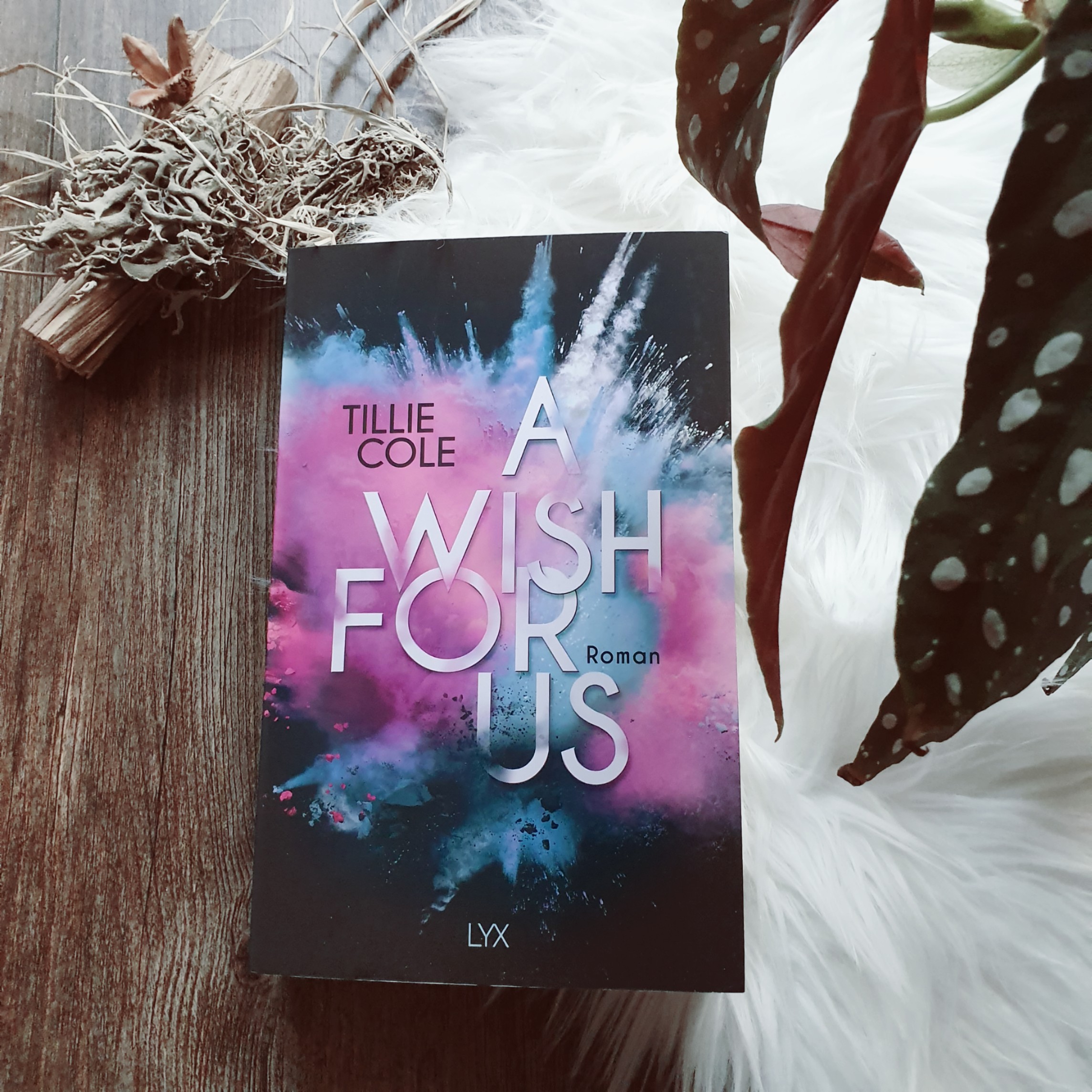 A wish for us tillie cole